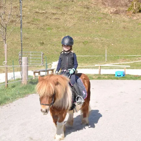 Alojamento de Turismo Rural Donauerhof Marquartstein