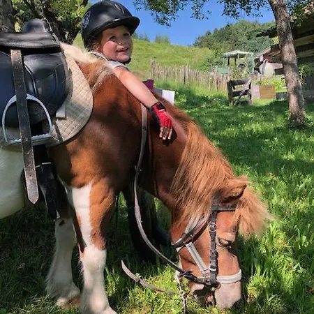 Alojamento de Turismo Rural Donauerhof *